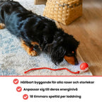 PawTail | Speedy Tail Dog Jacket Lightweight Waterproof Breathable