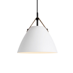 Scandinavian Metal Pendant Lamp with Color Accents and E27 LED Socket