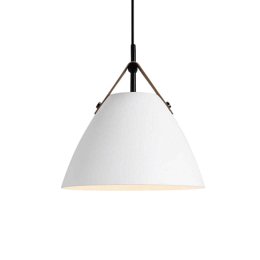 Scandinavian Metal Pendant Lamp with Color Accents and E27 LED Socket