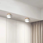 Minimalist ceiling lamp with LED glow
