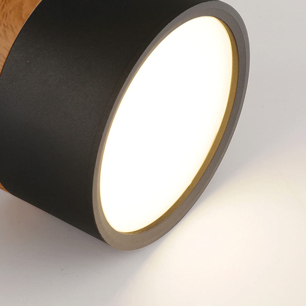 LED Ceiling Light Modern Flush Mount Cylinder