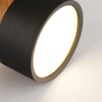 LED Ceiling Light Modern Flush Mount Cylinder