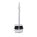 Broomia