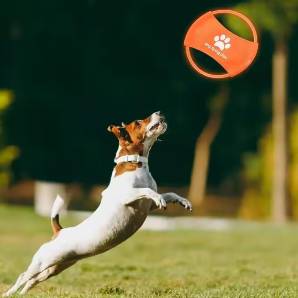 LED Frisbee for dogs rechargeable and waterproof