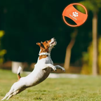 LED Frisbee for dogs rechargeable and waterproof