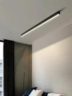 Multi-functional ceiling lamps with durable construction