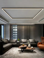 Multi-functional ceiling lamps with durable construction