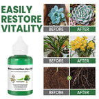 PlantRevive | Give Life Back to Your Plants