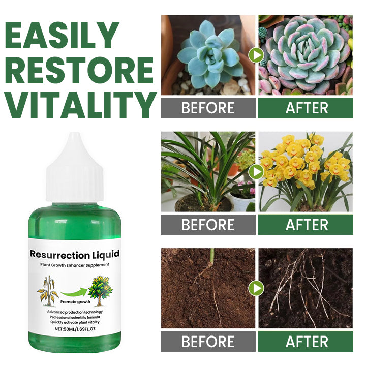 PlantRevive | Give Life Back to Your Plants