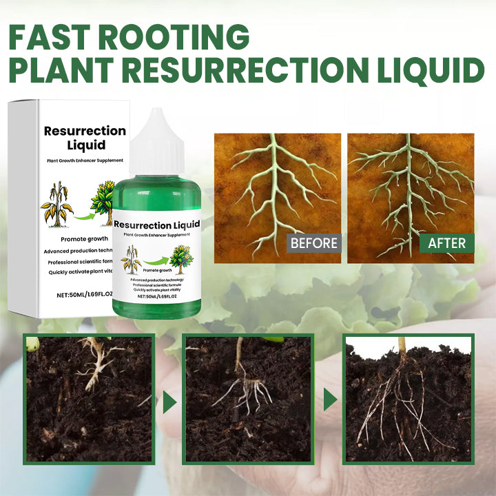 PlantRevive | Give Life Back to Your Plants