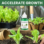 PlantRevive | Give Life Back to Your Plants
