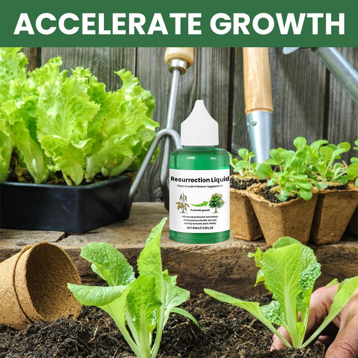 PlantRevive | Give Life Back to Your Plants