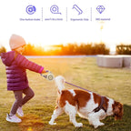 Luminous lead for pets