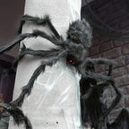 WebCreeper Halloween Decoration Set – 2 Giant Spiders 50cm with Stretchy Spider Web