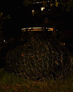 Solar Fishing Net Light