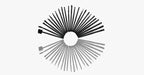 Black Makeup Brush Set with 32 Brushes and Case – A Complete Makeup Savior