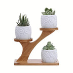 Decorative plant stand made of wood – plant pots in owl design for succulents and indoor plants