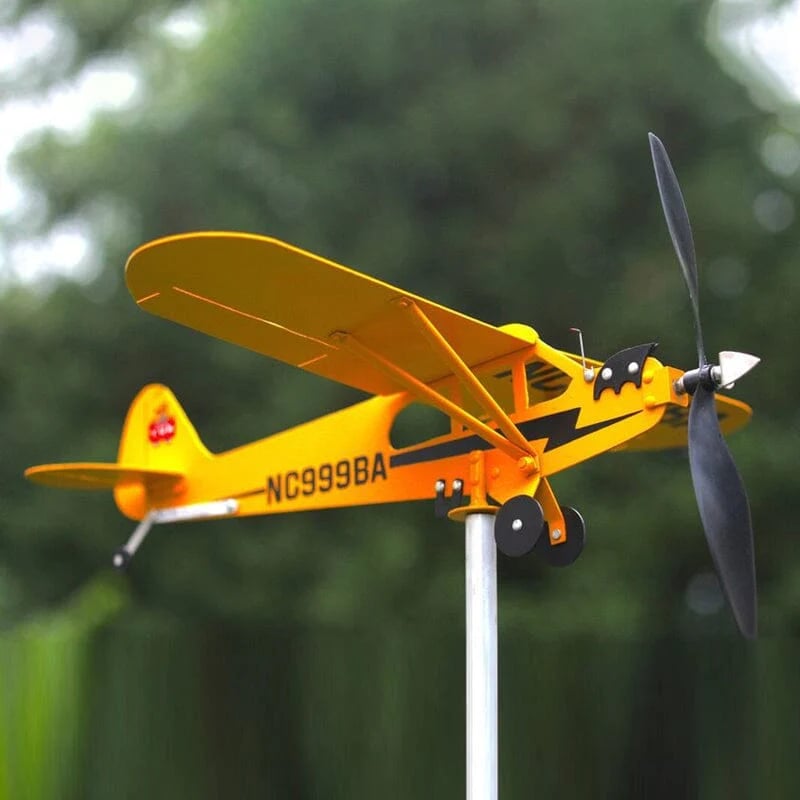 Weather vane for flying