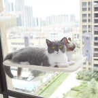 Foldable Cat Hammock Suction Cup Cat Hammock