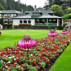 Bird Feed Station in Flower Design