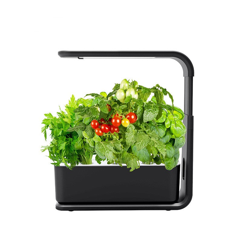 Slim Hydroponic Plant System for Indoor - GreenBloom Hydro