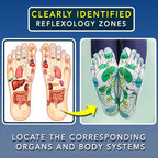Shay™ Acupressure Reflex Zone Massage Socks