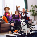 Funny Furry Dog Halloween Costume | Spider Design