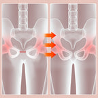 Adjustable Pelvic and Thigh Trainer - FlexFit Pro