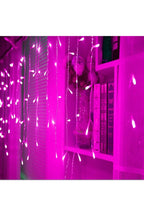 Butterfly LED Light Garland