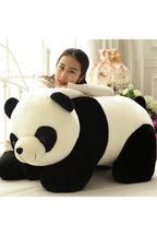 Adorable Panda Plush Collection