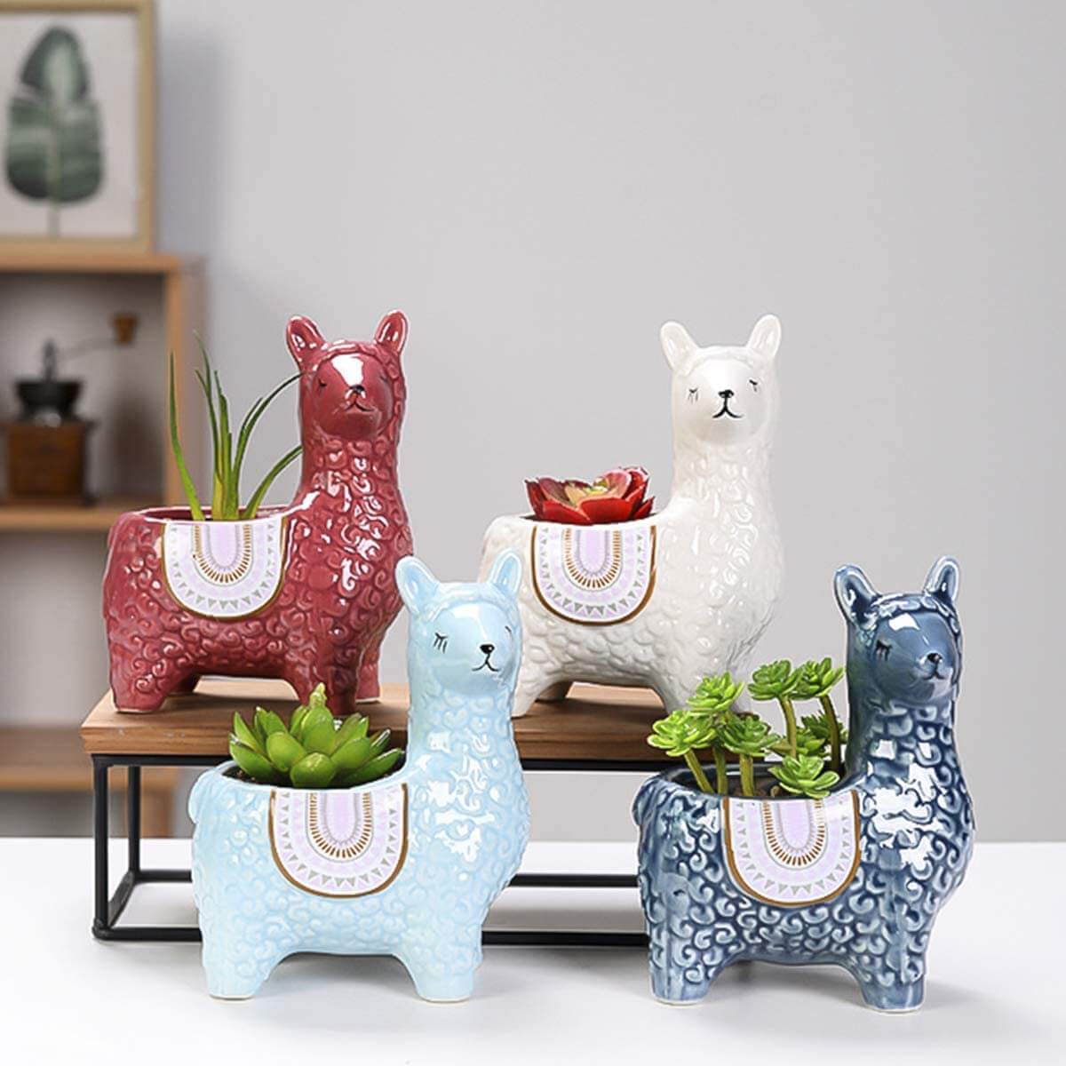 Alpaca Ceramic Pots for Your Plants