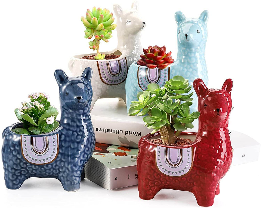 Alpaca Ceramic Pots for Your Plants