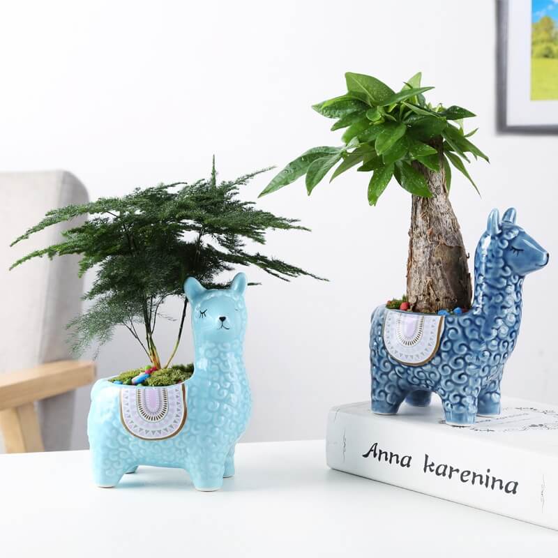 Alpaca Ceramic Pots for Your Plants