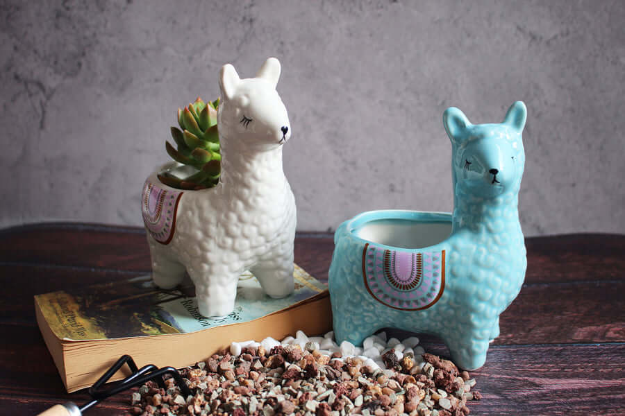 Alpaca Ceramic Pots for Your Plants