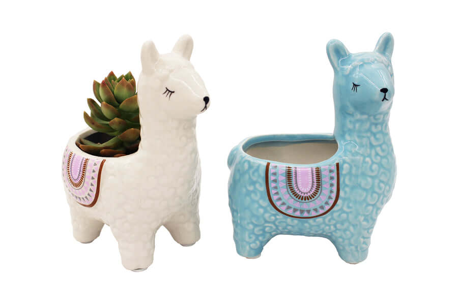Alpaca Ceramic Pots for Your Plants