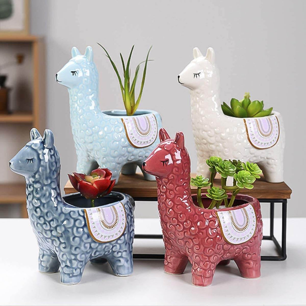 Alpaca Ceramic Pots for Your Plants