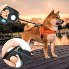 AMÉLIE – LED Dog Leash with Integrated Flashlight
