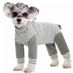 Anti-Licking - Dog Recovery Suit