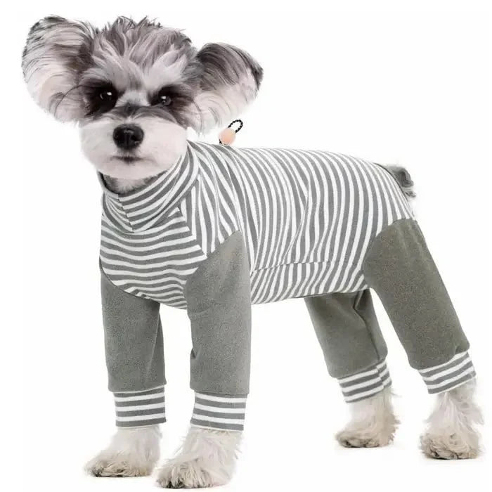 Anti-Licking - Dog Recovery Suit