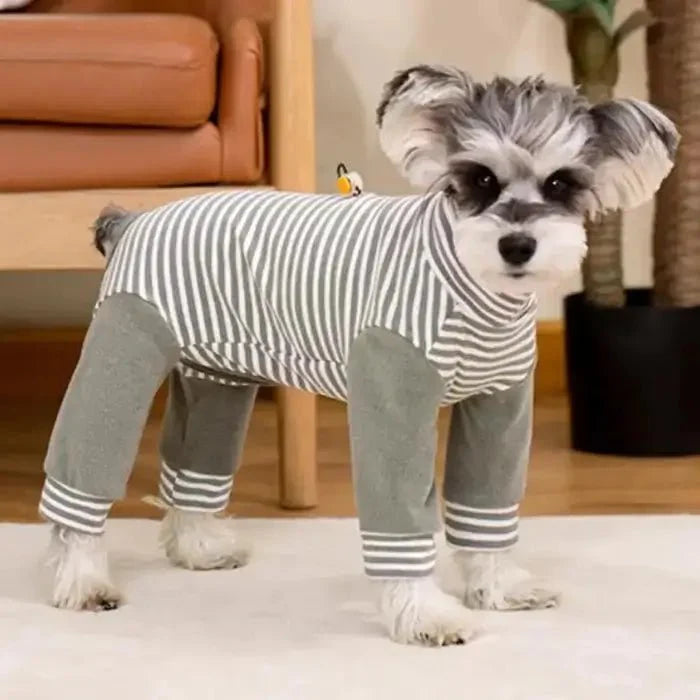 Anti-Licking - Dog Recovery Suit
