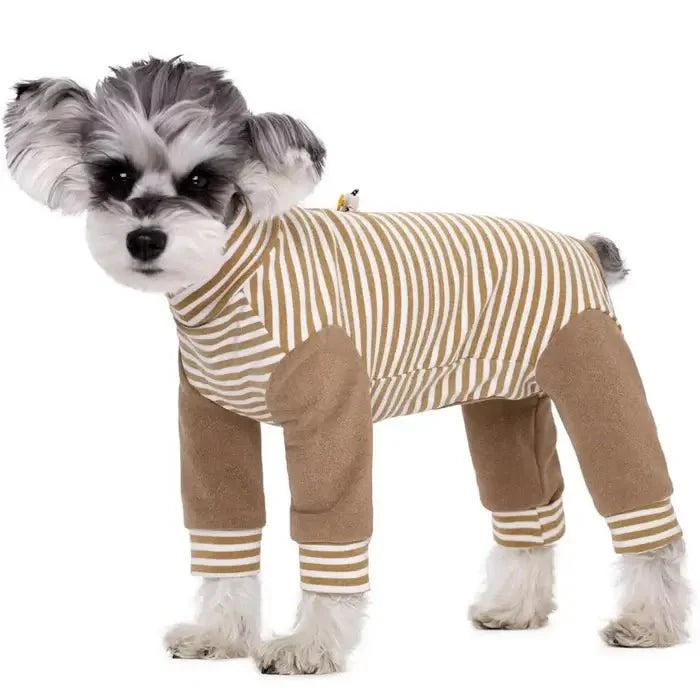 Anti-Licking - Dog Recovery Suit
