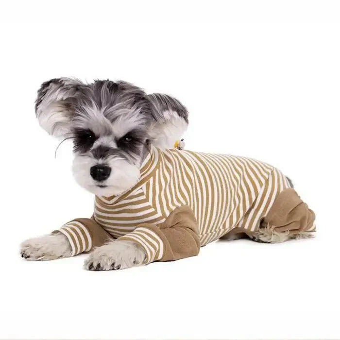 Anti-Licking - Dog Recovery Suit