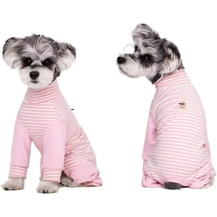 Anti-Licking - Dog Recovery Suit