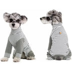 Anti-Licking - Dog Recovery Suit