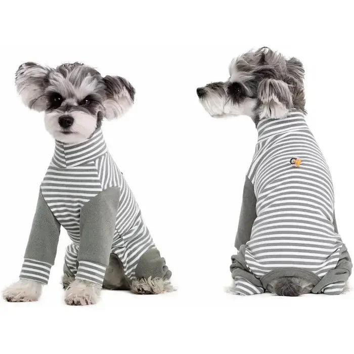 Anti-Licking - Dog Recovery Suit