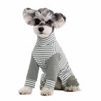 Anti-Licking - Dog Recovery Suit