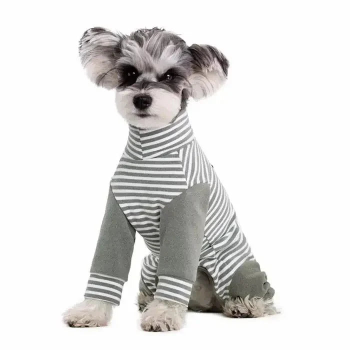 Anti-Licking - Dog Recovery Suit