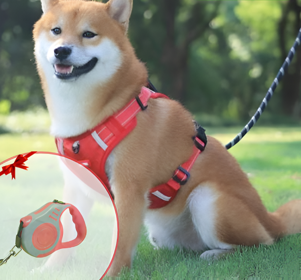 Anti-Pull Dog Harness - FlexiFit