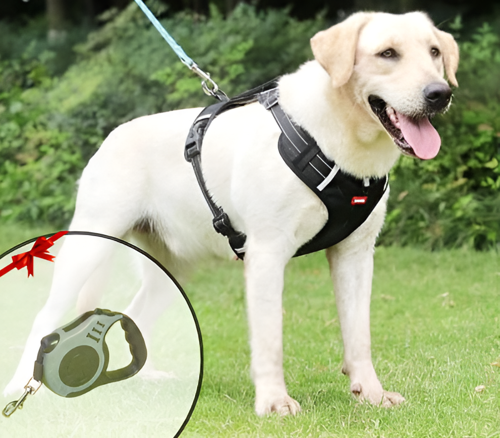 Anti-Pull Dog Harness - FlexiFit