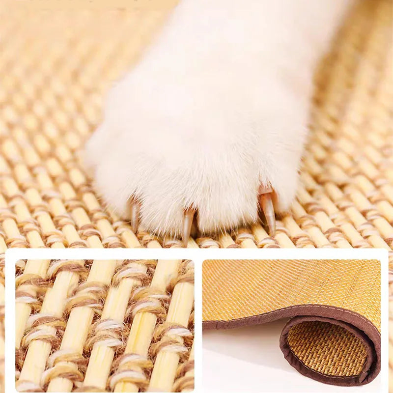 Anti-Scratch Protection for Furniture - PawsGuard
